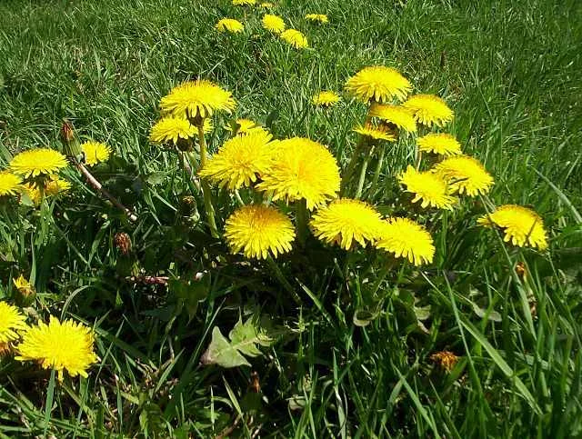 Zdjęcie z galerii